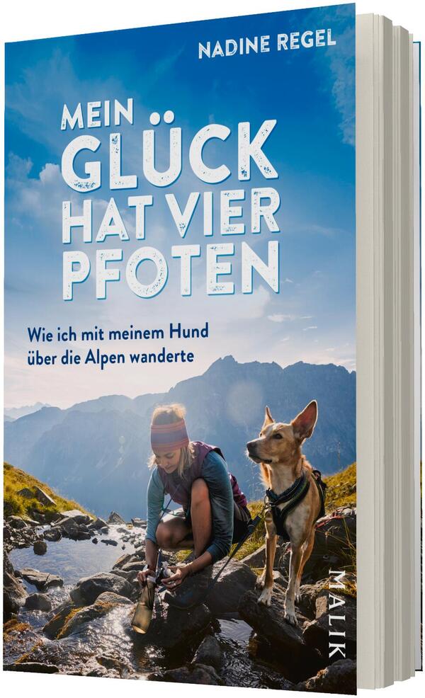 Das Buchcover zeigt eine Frau mit Rucksack, die an einem alpinen Gebirgsbach kniet und Wasser schöpft, rechts neben ihr ein aufmerksamer Hund mit Geschirr. Im Hintergrund blaue Berggipfel unter hellem Himmel. Titel in großen weißen Großbuchstaben: „MEIN GLÜCK HAT VIER PFOTEN“, darunter kleinerer Untertitel: „Wie ich mit meinem Hund über die Alpen wanderte“. Autor oben rechts: Nadine Regel. Atmosphärisch ruhig und naturnah.