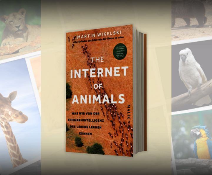 „The Internet of Animals“ von Martin Wikelski