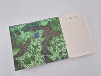 Außenansicht des Buches „Der dunkle Brunnen“