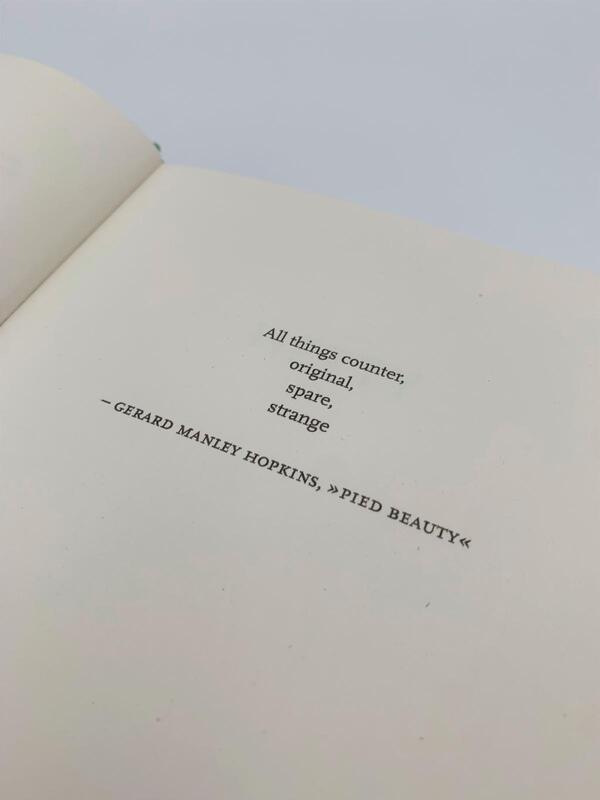 Innenansicht des Buches „Wilder Girls“