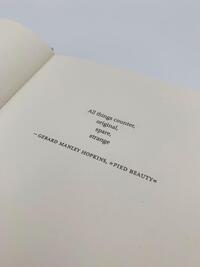 Innenansicht des Buches „Wilder Girls“