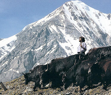 Reinhold Messner, Bergbauer