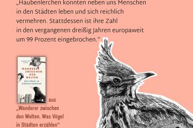 Vögel in Deutschland