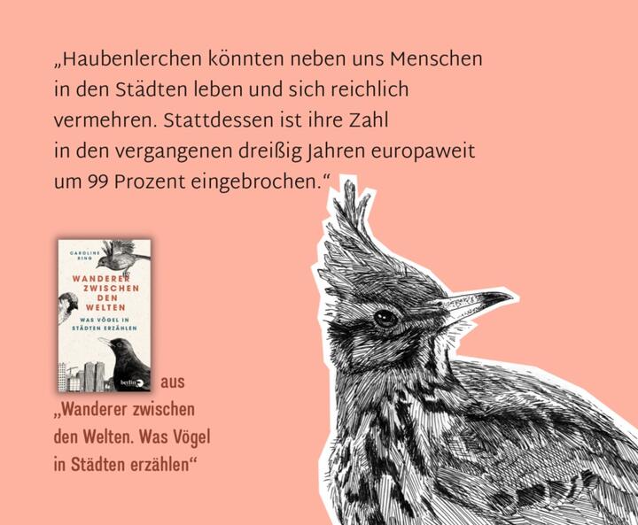 Vögel in Deutschland