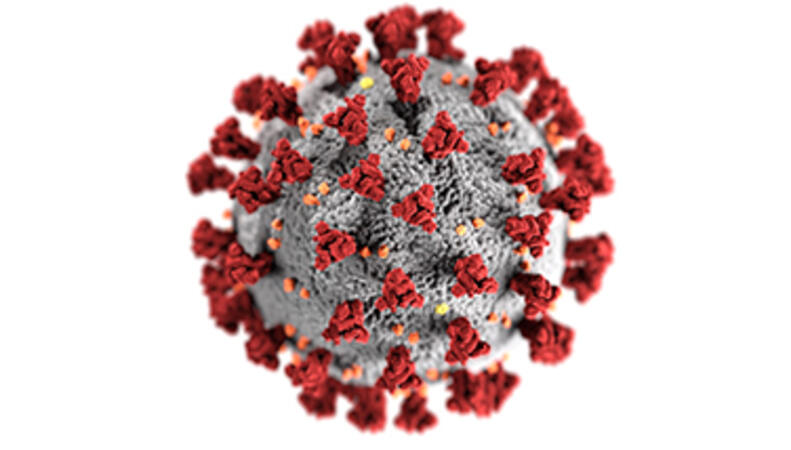 Coronavirus Bücher