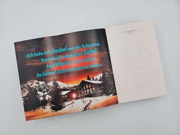 Außenansicht des Buches „Eisnebel“