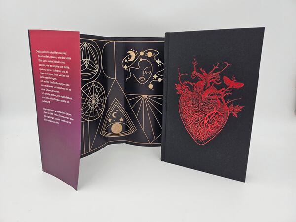 Außenansicht des Buches „Twelve of Nights – Das gestohlene Herz“