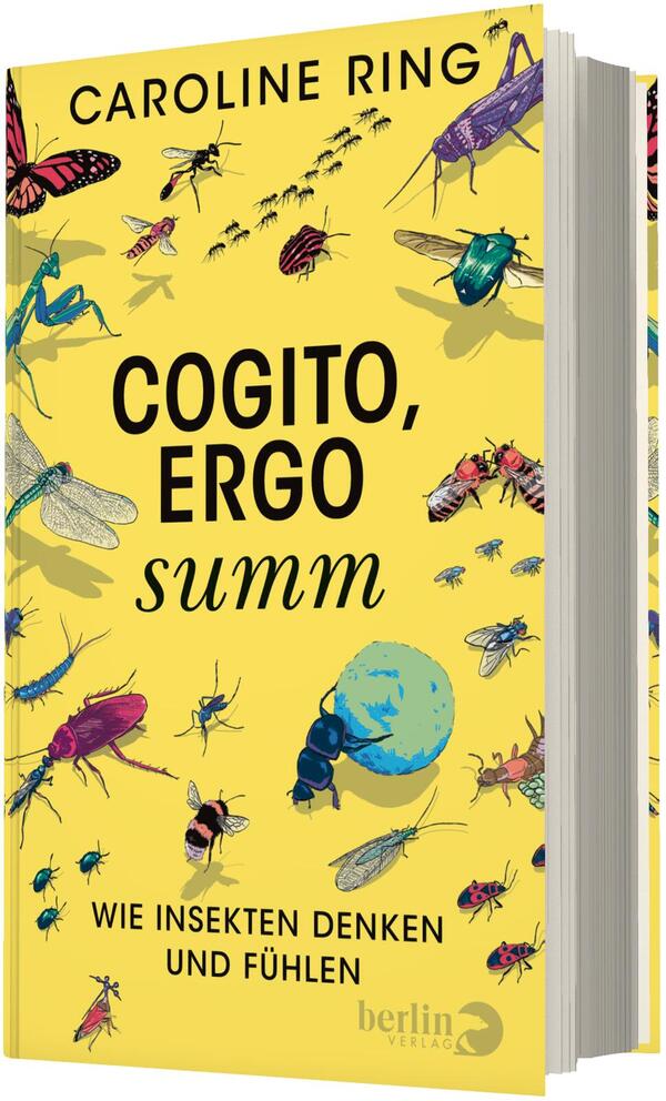 Das Buchcover zeigt ein leuchtend gelbes Layout mit zahlreichen farbigen Insektenillustrationen (Käfer, Biene, Schmetterling, Heuschrecke, Ameise u. a.) über die Fläche verteilt. Oben steht der Autorname „Caroline Ring“ in schwarzer Großschrift, zentral der Titel „COGITO, ERGO summ“ in großer schwarzer Typografie, unten der Untertitel „WIE INSEKTEN DENKEN UND FÜHLEN“ in kleinerer Versalschrift. Stimmung: lebhaft, neugierig, naturwissenschaftlich.