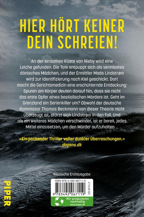 Rückansicht des Buches „Niemand hört dich“ 