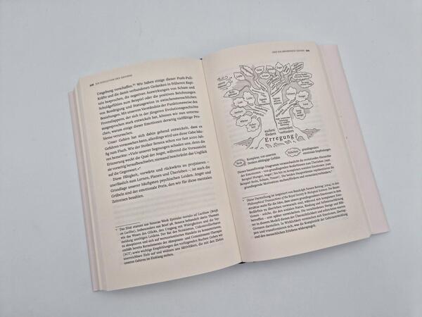 Außenansicht des Buches „Die Evolution des Gehirns“