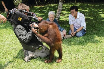 neugieriger Orang-Utang mit Frank Elstner im HIntergrund