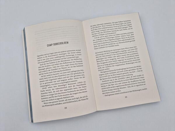 Außenansicht des Buches „Die Schlucht“