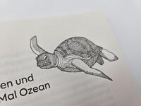 Außenansicht des Buches „Segeljungs“