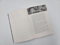 Außenansicht des Buches „The Darkest Queen“