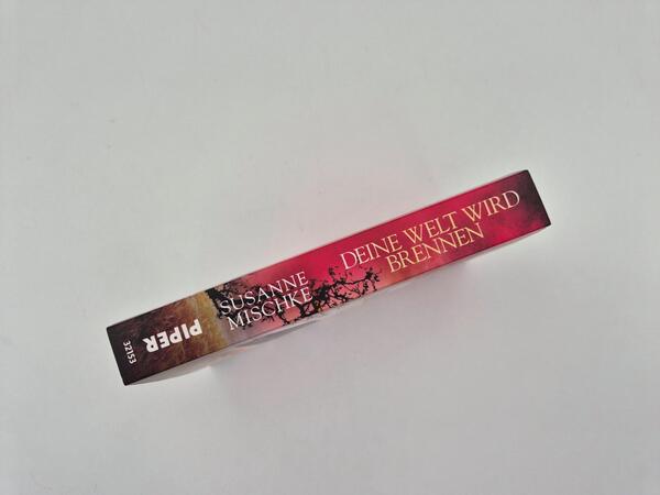 Außenansicht des Buches „Deine Welt wird brennen“