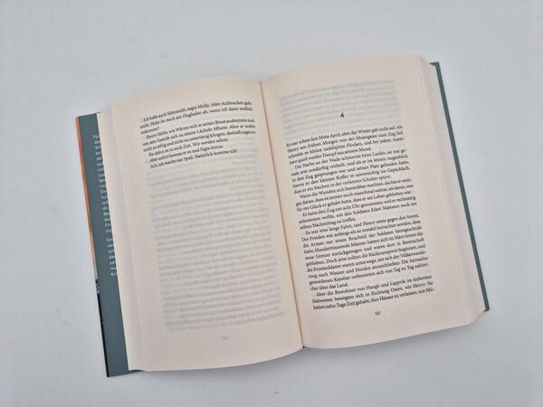 Außenansicht des Buches „Dämmerung“