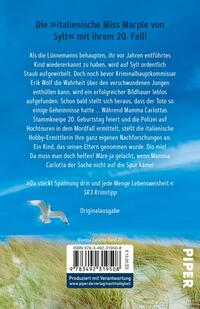 Rückansicht des Buches „Windjammer“