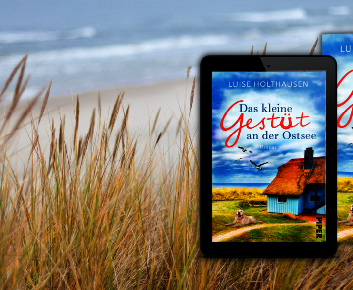 Luise Holthausens „Das kleine Gestüt an der Nordsee“ als Buch und ebook vor Strandkulisse