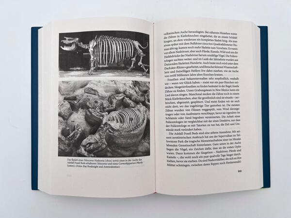 Innenansicht des Buches „Eine neue Geschichte der Säugetiere“