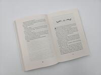 Außenansicht des Buches „The Curse of Saints“