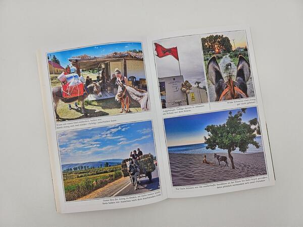 Außenansicht des Buches „Immer den Nüstern nach“