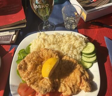 Ein schmales Glas mit hellem Laško-Bier steht auf einem Tisch mit rot-blauer Decke. Davor ein Teller mit Schnitzel, Reis, Tomaten und Gurken. Auf dem Schnitzel liegt eine Zitronenspalte. Im Hintergrund sind Bücher erkennbar.