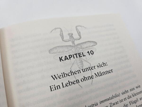 Außenansicht des Buches „Bitch – Ein revolutionärer Blick auf Sex, Evolution und die Macht des Weiblichen im Tierreich“