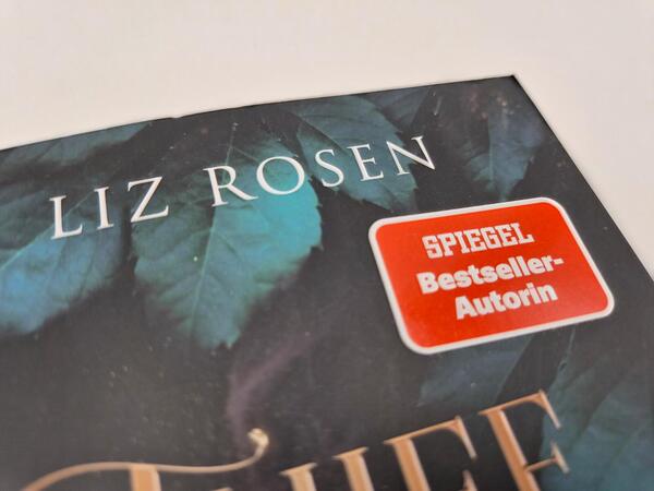 Außenansicht des Buches „Thief of Hearts - Liebe ist Verrat“