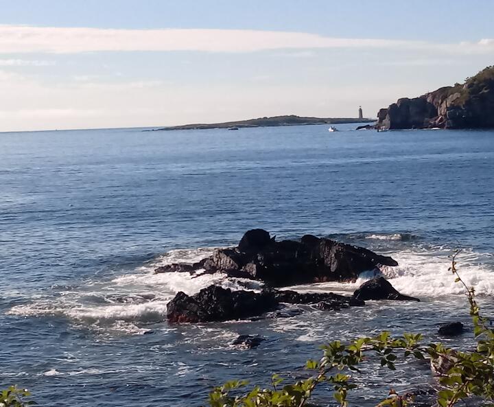 Recherchefoto der Küste zu Mona Jones „Casco Bay Summer“