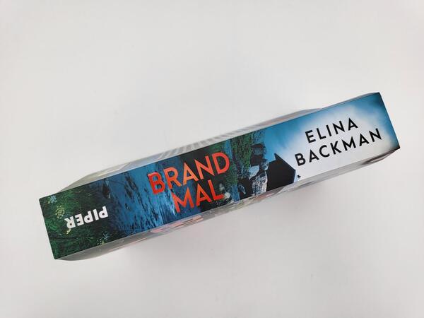 Innenansicht des Buches „Brandmal“