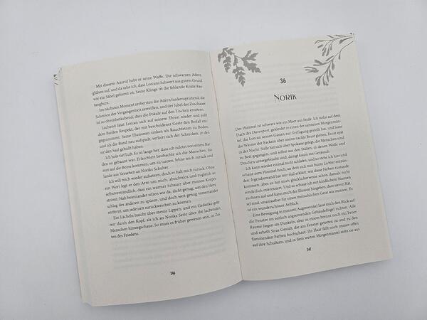 Außenansicht des Buches „In Fire and Rain – Sturmkuss“