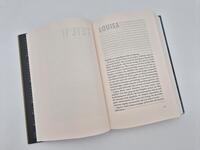 Außenansicht des Buches „Leuchtzeichen“