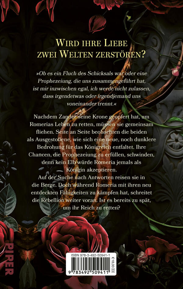 Rückansicht des Buches „ A Curse of Blood & Stone “