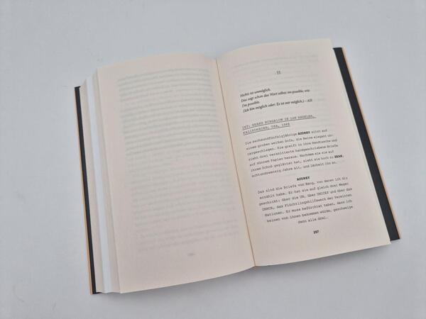 Außenansicht des Buches „Audrey“