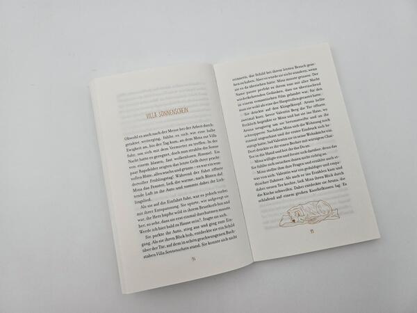 Außenansicht des Buches „Das Licht eines Jahres“