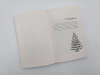 Außenansicht des Buches „Meine zauberhafte Weihnachtsreise“