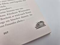 Außenansicht des Buches „101 Schlawiner“