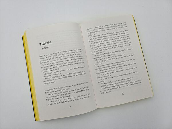 Außenansicht des Buches „Niemand hört dich“
