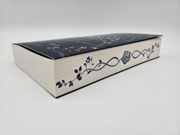 Innenansicht des Buches „Rosefield Academy of Arts – The Secrets We Keep“