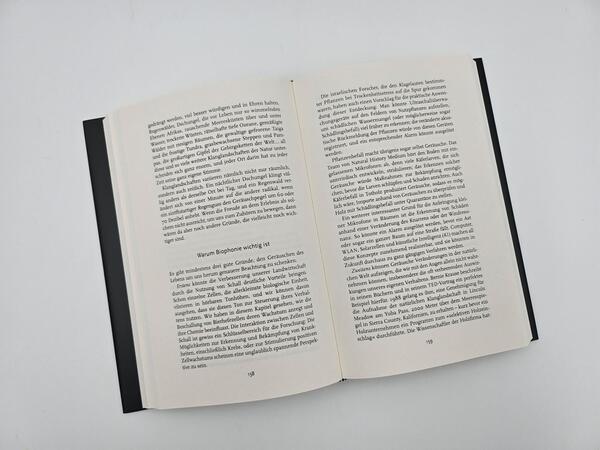 Außenansicht des Buches „Alles ist Klang“