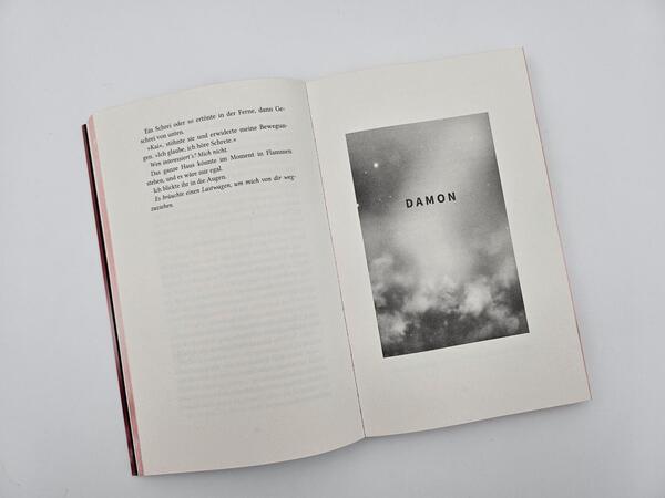 Außenansicht des Buches „Fire Night – Ewige Liebe“