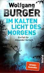Im kalten Licht des Morgens Im kalten Licht des Morgens