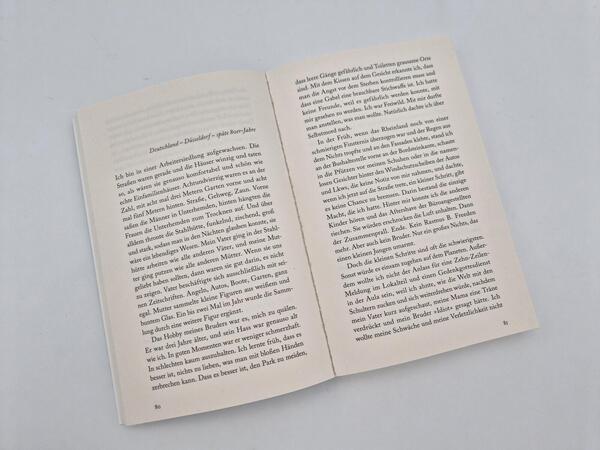 Außenansicht des Buches „Der Schwindel“