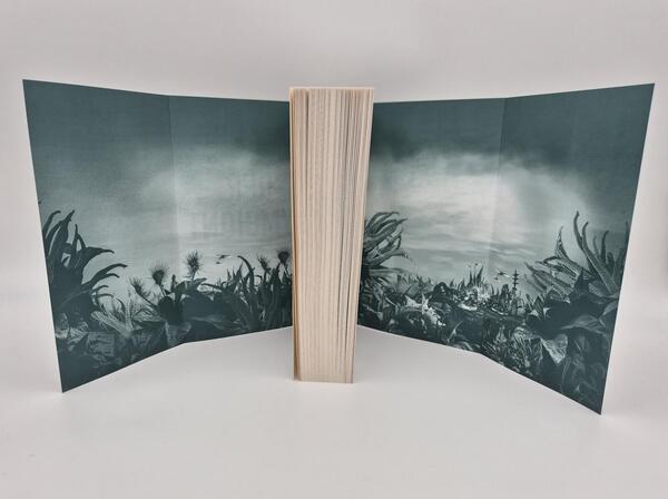 Außenansicht des Buches „Der Symbiont“