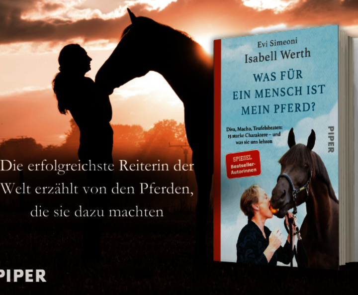atmosphärischer Banner mit Buchcover