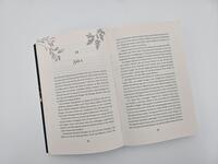 Außenansicht des Buches „In Fire and Rain – Sturmkuss“