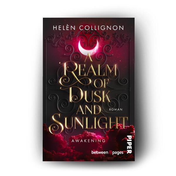 Außenansicht des Buches „A Realm of Dusk and Sunlight – Awakening“
