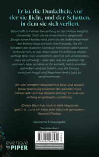 Rückansicht des Buches „The Lies we steal“