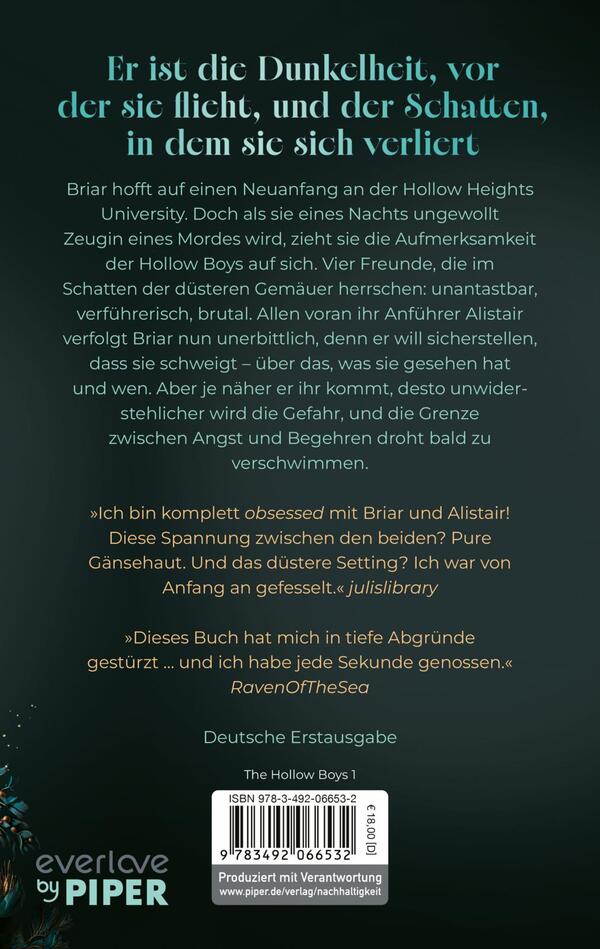 Rückansicht des Buches „The Lies we steal“