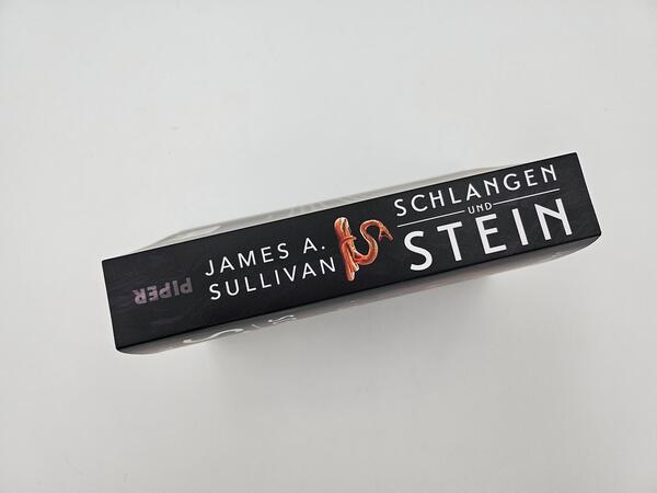Außenansicht des Buches „Schlangen und Stein“